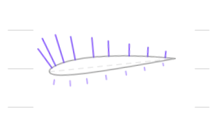 Suction Peak